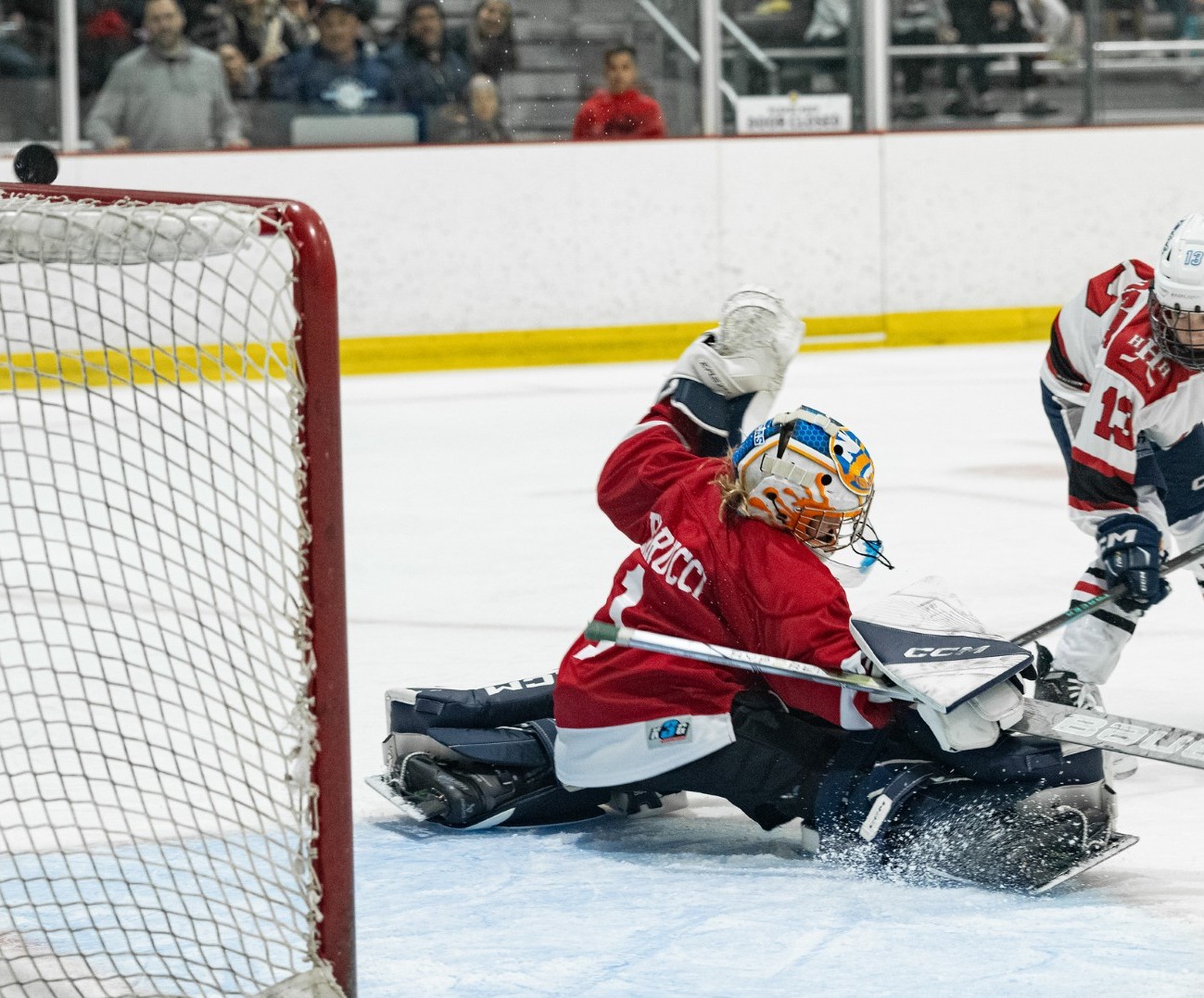 THE PROTEQT365 SYSTEM